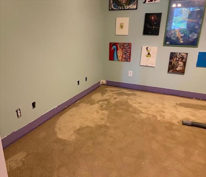 Wet Carpet